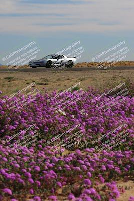 media/Jan-08-2023-SCCA SD (Sun) [[8f6a5b9391]]/Intermediate Group/Session 2 (Short Straight)/